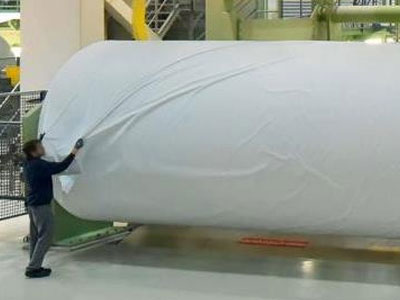 纸浆、造纸和印刷